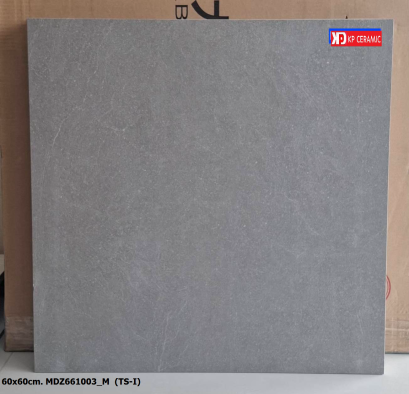 60x60cm. MDZ661004_M  (TS-I)