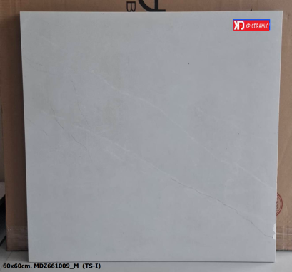 60x60cm. MDZ661009_M  (TS-I)