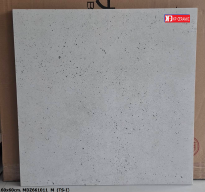 60x60cm. MDZ661011_M  (TS-I)