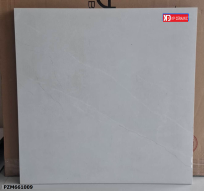 60x60cm. PZM661009 (India)