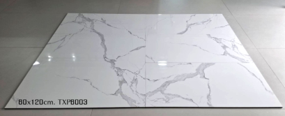 60x120cm. TXP6003  (MO)