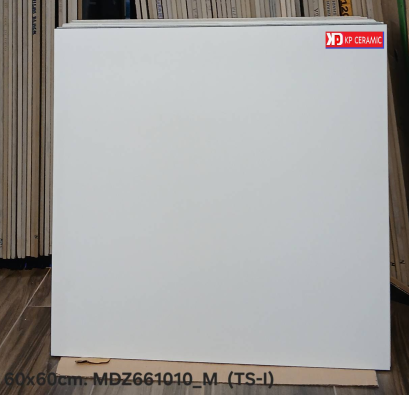 60x60cm. MDZ661010_M  (TS-I)