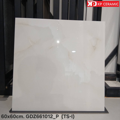 60x60cm. GDZ661012_P  (TS-I)