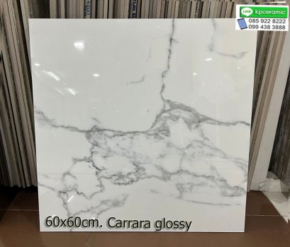 60x60cm. Carrara glossy