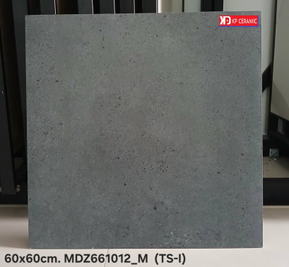 60x60cm. MDZ661012_M  (TS-I)