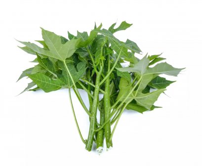 ใบผงชูรส