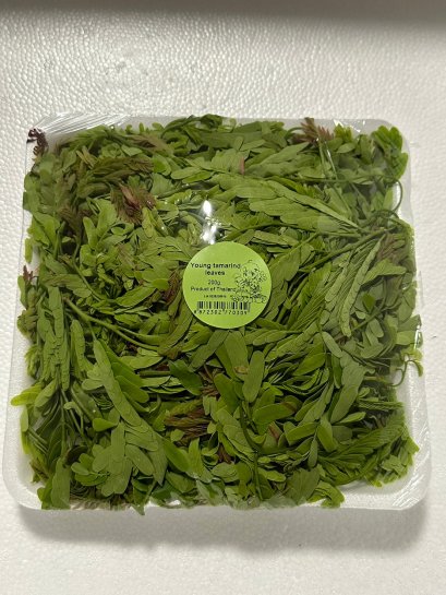 ใบมะขามอ่อน