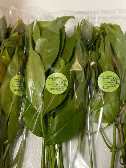 ใบชะมวง