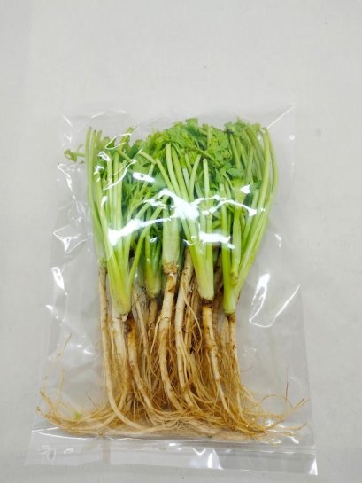 Coriander roots รากผักชี 1 kg.
