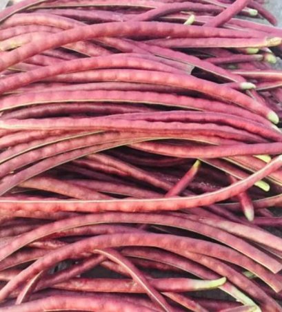 ถั่วปีสีดำ