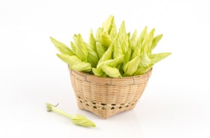 ดอกชมจันทร์