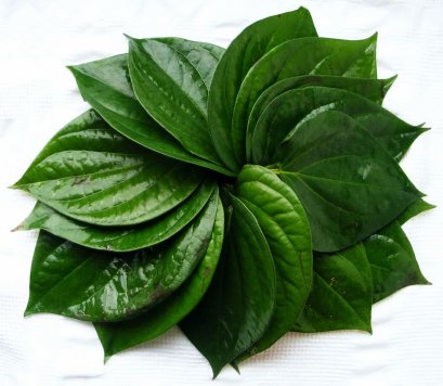 Betel leaves