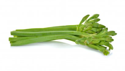 ก้านจอง