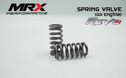 สปริงวาล์ว REVO (GD)