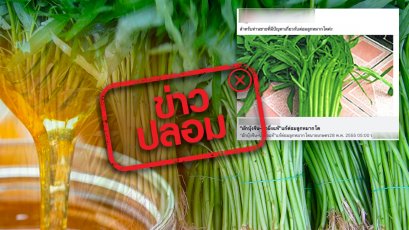 ข่าวปลอม อย่าแชร์! ผักบุ้งจีนผสมน้ำผึ้ง ช่วยรักษาต่อมลูกหมากโตได้