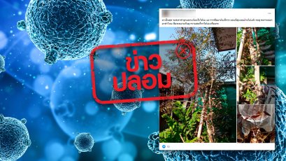 ข่าวปลอม อย่าแชร์! ต้นสะเดาดำ สามารถรักษาโรคมะเร็งได้