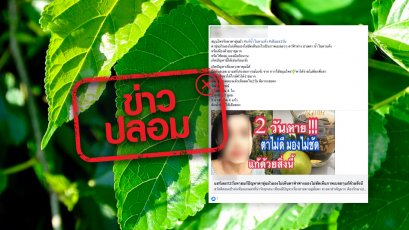 ข่าวปลอม อย่าแชร์! นำใบหม่อนไปต้มแล้วใส่มะนาวก่อนดื่ม จะช่วยแก้อาการตาขุ่นมัวภายใน 2 วัน