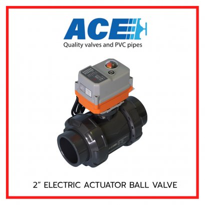ACE ELECTRIC ACTUATOR BALL VALVE 2&quot; EPDM Oring CNS SOCKET END ADAPTOR TYPE