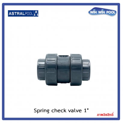 เช๊ควาล์ว ป้องกันการไหลกลับ ชนิดสปริง ขนาด 1"(Spring check valve 1")