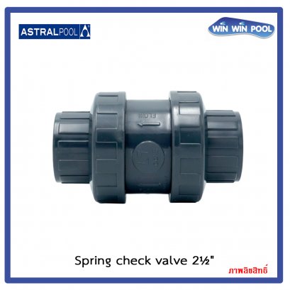 เช๊ควาล์ว ป้องกันการไหลกลับ ชนิดสปริง ขนาด 2-1/2&quot;(Spring check valve 2-1/2&quot;)