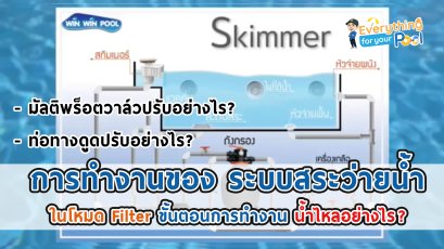การทำงานของ ระบบสระว่ายน้ำ ในโหมด Filter ขั้นตอนการทำงาน น้ำไหลอย่างไร