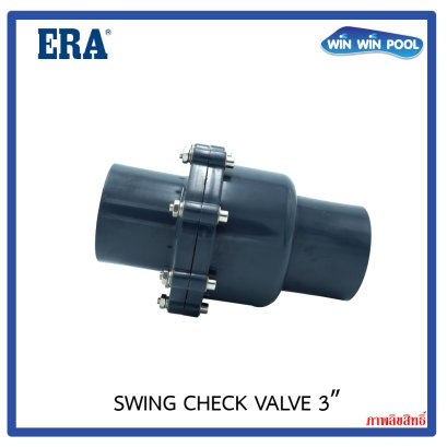 ERA_Swing_Check_Valve_3_01