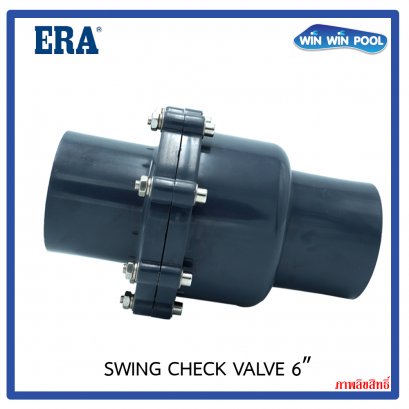 ERA_Swing_Check_Valve_6_01