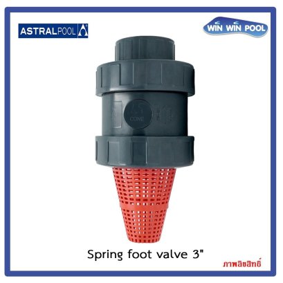 Foot Valve 3