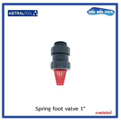 Spring Foot Valve  1