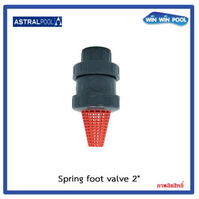 Spring Foot Valve  2