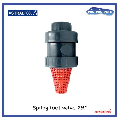 Foot Valve 2-1/2"