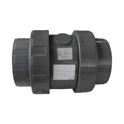 สปริงเช็ควาล์ว/Astral pool/Cepex/ Spring check valve / 4" Grade B