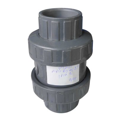 สปริงเช็ควาล์ว/Astral pool /Cepex/ Spring Check Valve/ 2'' Grade B