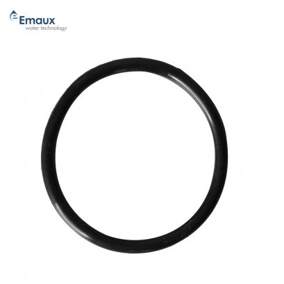 O-Ring for Union SSC Emaux