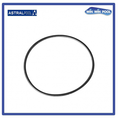 O&#039; RING D 100X4