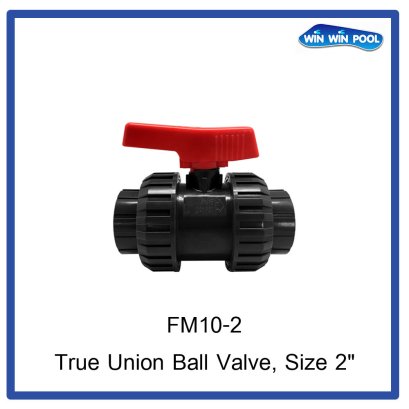 True Union Ball Valves, size 2”
