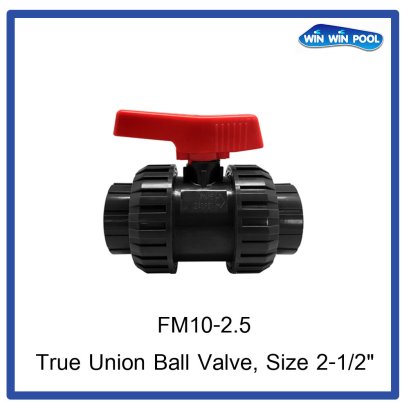 True Union Ball Valves, size 2.5”