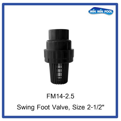 Swing Foot Valve, Size 2-1/2