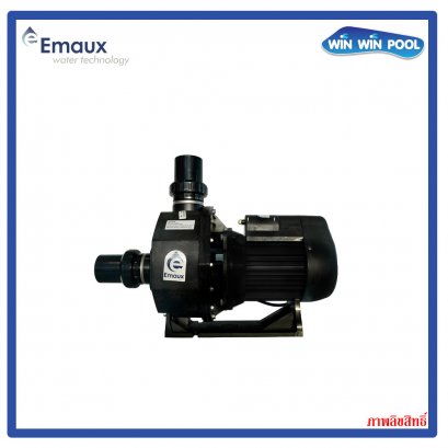 SR20  2 HP/1PH emaux pump
