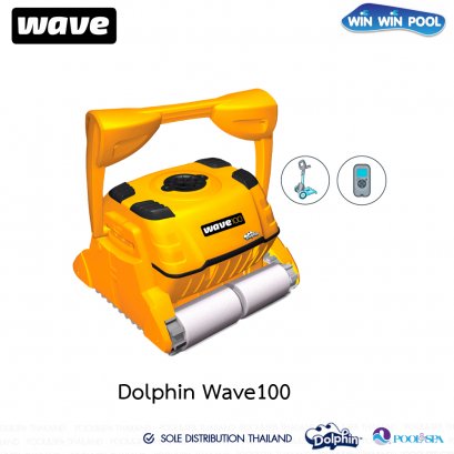 Dolphin_Wave100