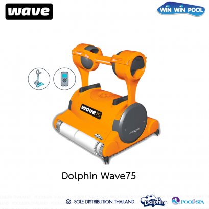 Dolphin_Wave75