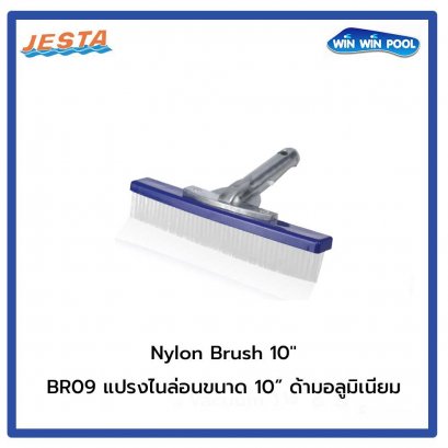 Nylon Brush 10″