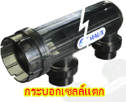 กระบอกเซลล์แตกเกิดจากอะไร