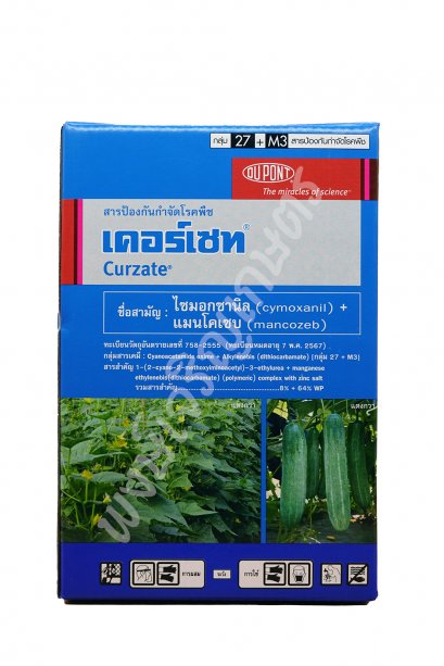 เคอร์เซท 500 กรัม