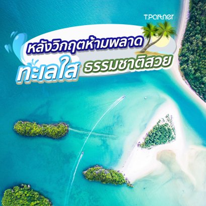 หลังวิกฤตห้ามพลาด!! ทะเลใส ธรรมชาติสวย