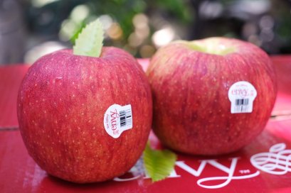 แอปเปิ้ลเอนวี่ NZ  30 ลูก