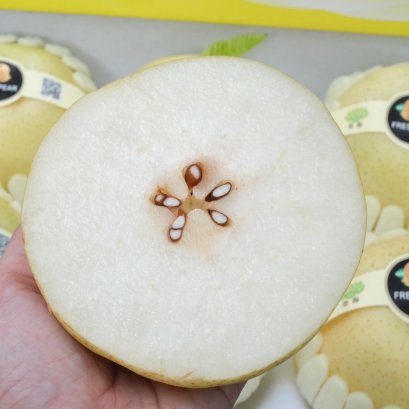 สาลี่ทอง จีน 7 ลูก