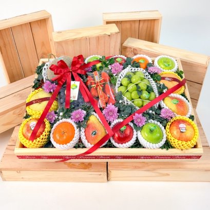 Summer Best fruits C