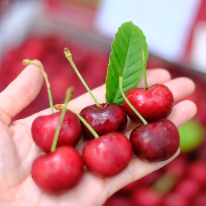 เชอร์รี่แดง 1 Kg