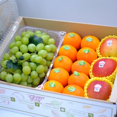 Super Healthy Set